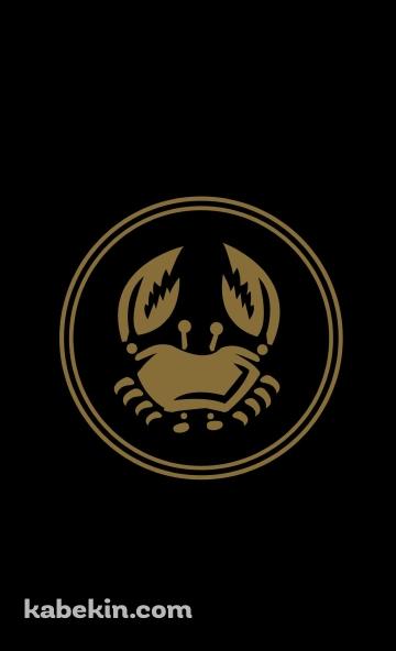 かに座のAndroidの壁紙(360px x 592px) スマホ用