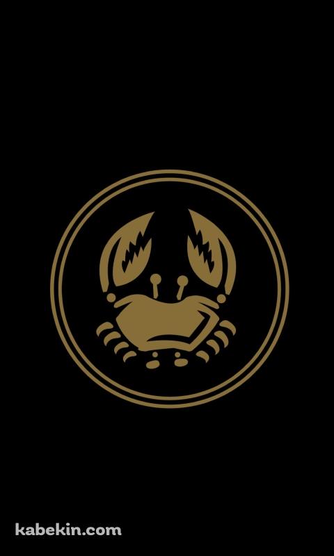 かに座のAndroidの壁紙(480px x 800px) スマホ用