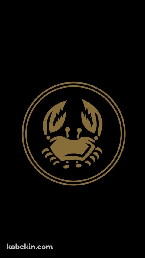 かに座のAndroidの壁紙(480px x 854px) スマホ用