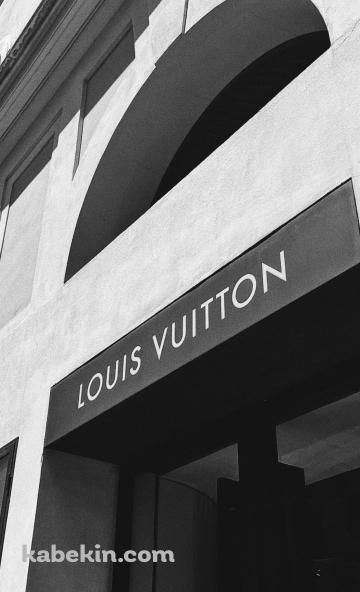 LOUIS VUITTON ローマのAndroidの壁紙(360px x 592px) スマホ用