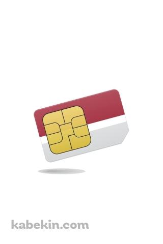 SIMカードのAndroidの壁紙(320px x 480px) スマホ用