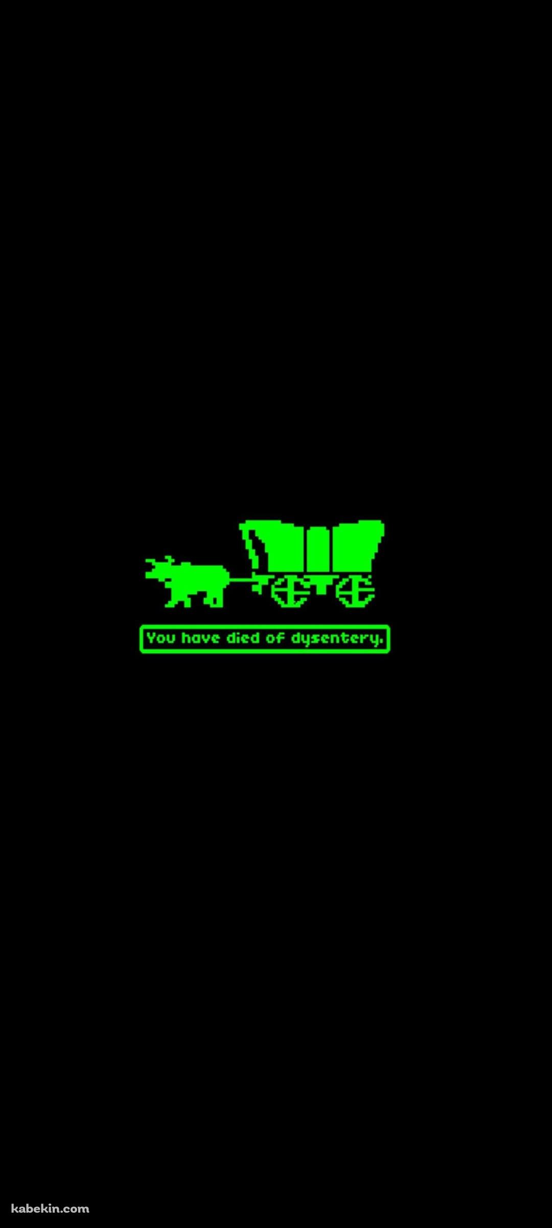 オレゴン・トレイルのAndroidの壁紙(1080px x 2400px) スマホ用