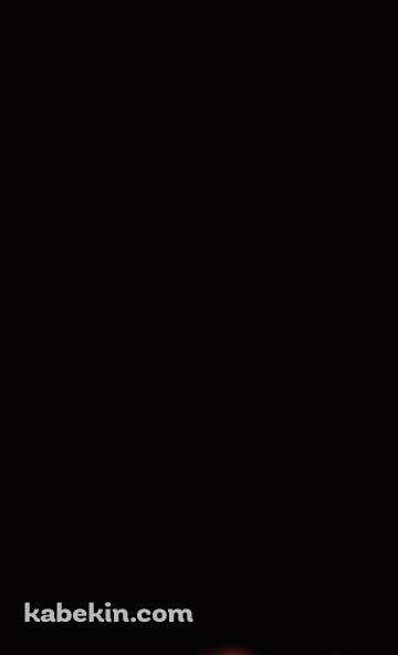 進撃の巨人 エンブレムのAndroidの壁紙(360px x 592px) スマホ用