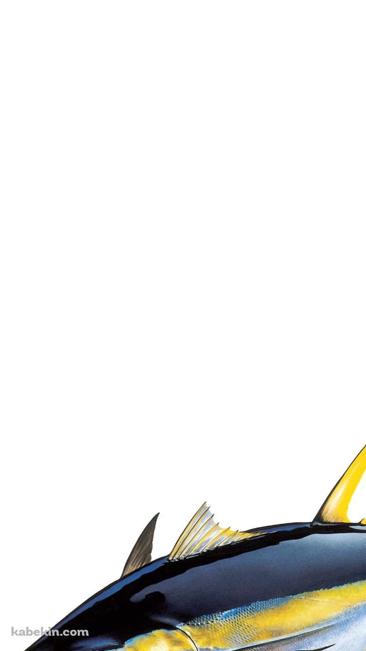 マグロのAndroidの壁紙(720px x 1280px) スマホ用