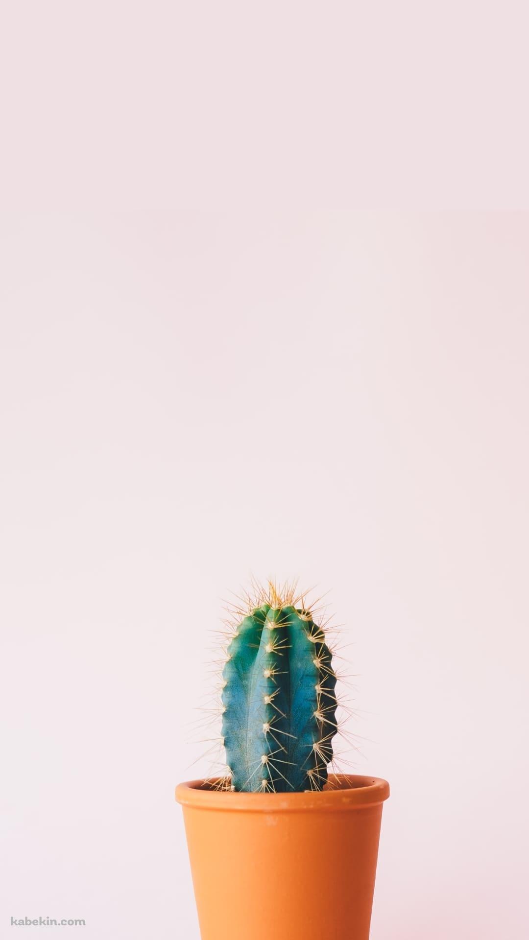 鉢に入ったサボテンのAndroidの壁紙(1080px x 1920px) スマホ用