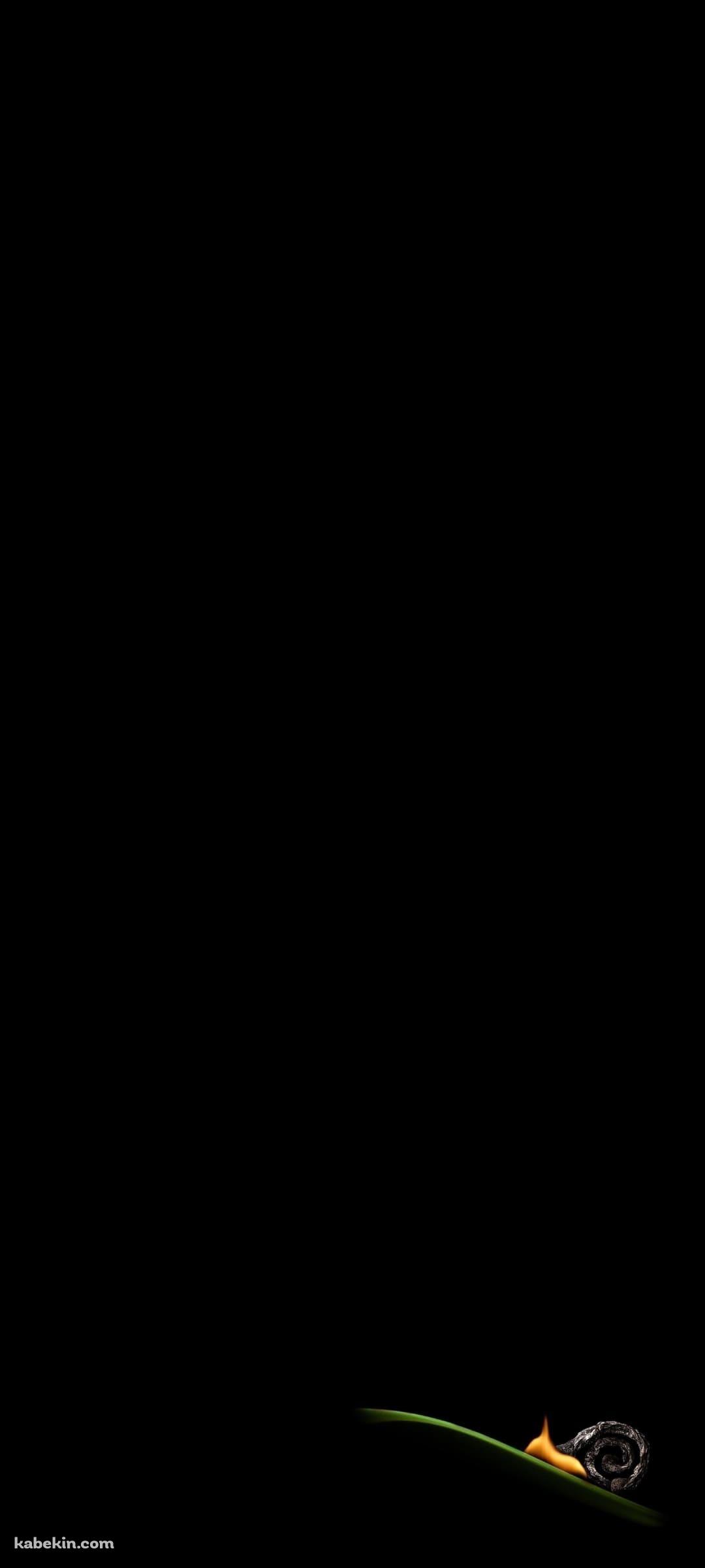 葉っぱとカタツムリのAndroidの壁紙(1080px x 2400px) スマホ用