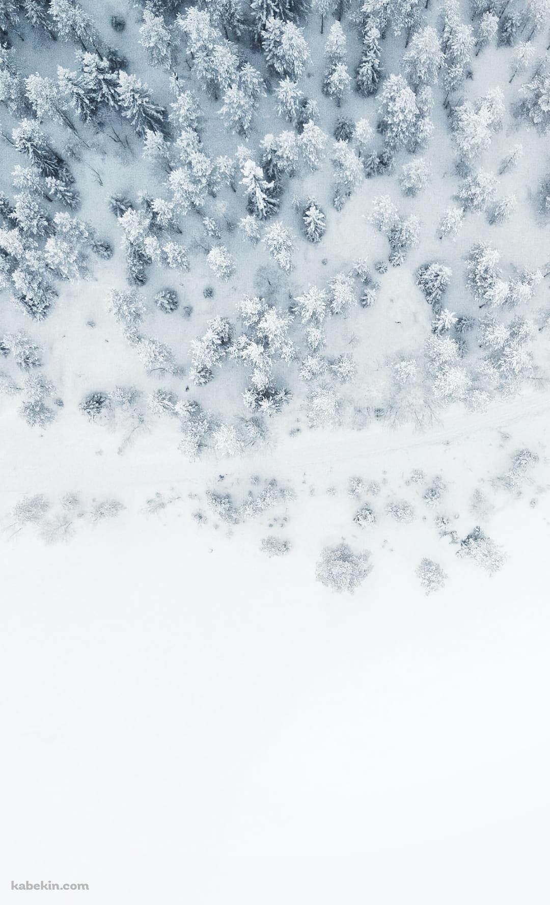 シベリア ツンドラ 針葉樹林のAndroidの壁紙(1080px x 1776px) スマホ用