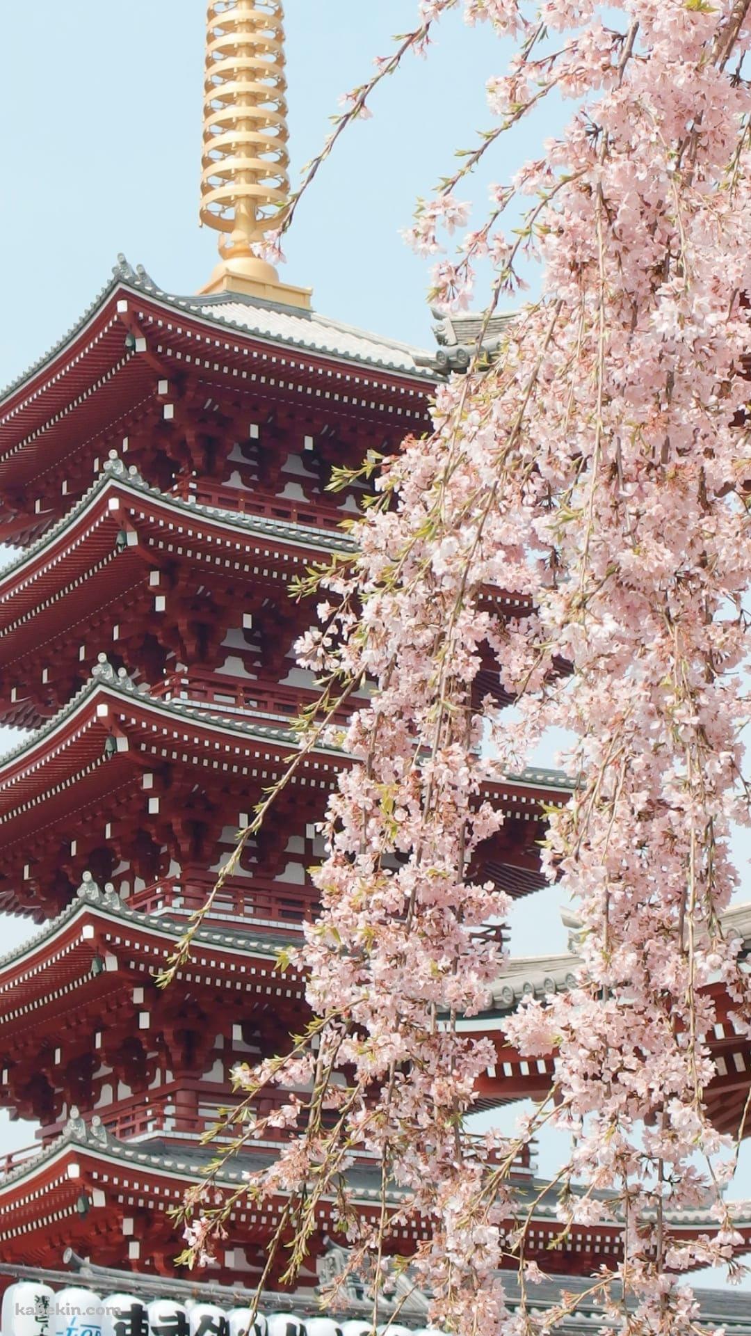 浅草寺のAndroidの壁紙(1080px x 1920px) スマホ用