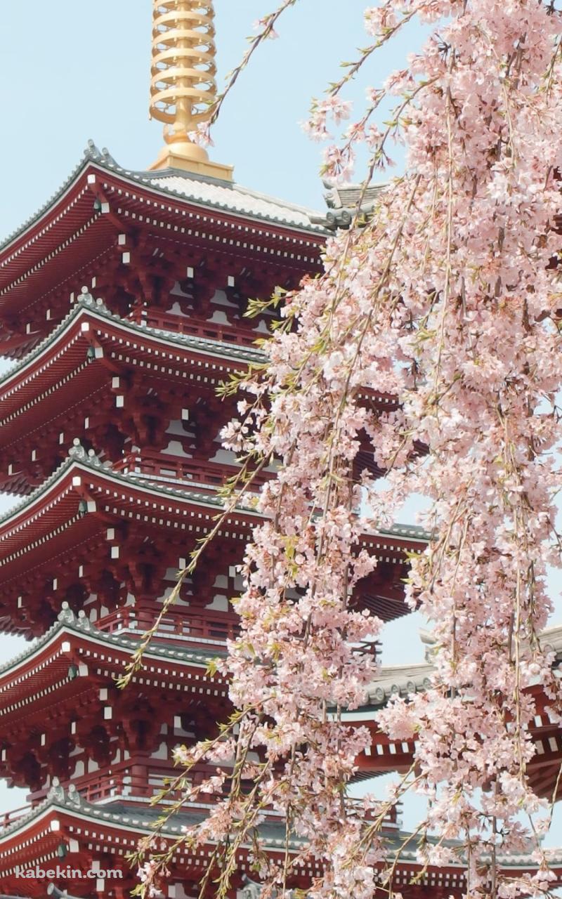 浅草寺のAndroidの壁紙(800px x 1280px) スマホ用