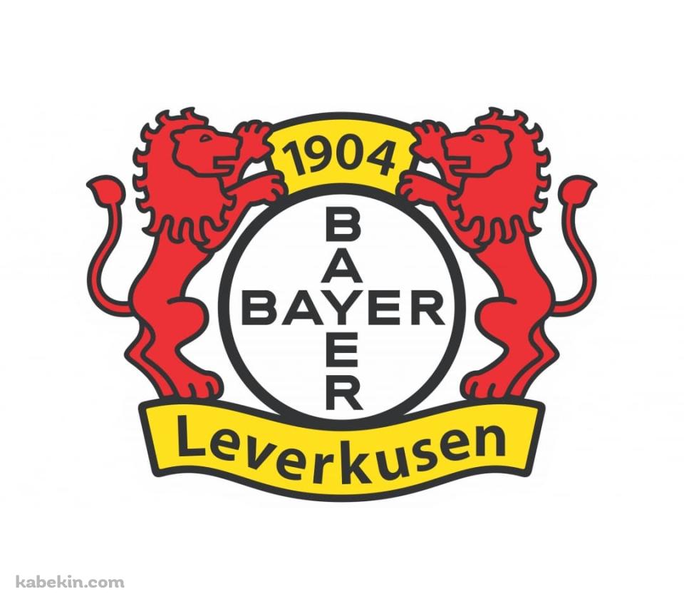 バイヤー・レバークーゼンのAndroidの壁紙(960px x 854px) スマホ用