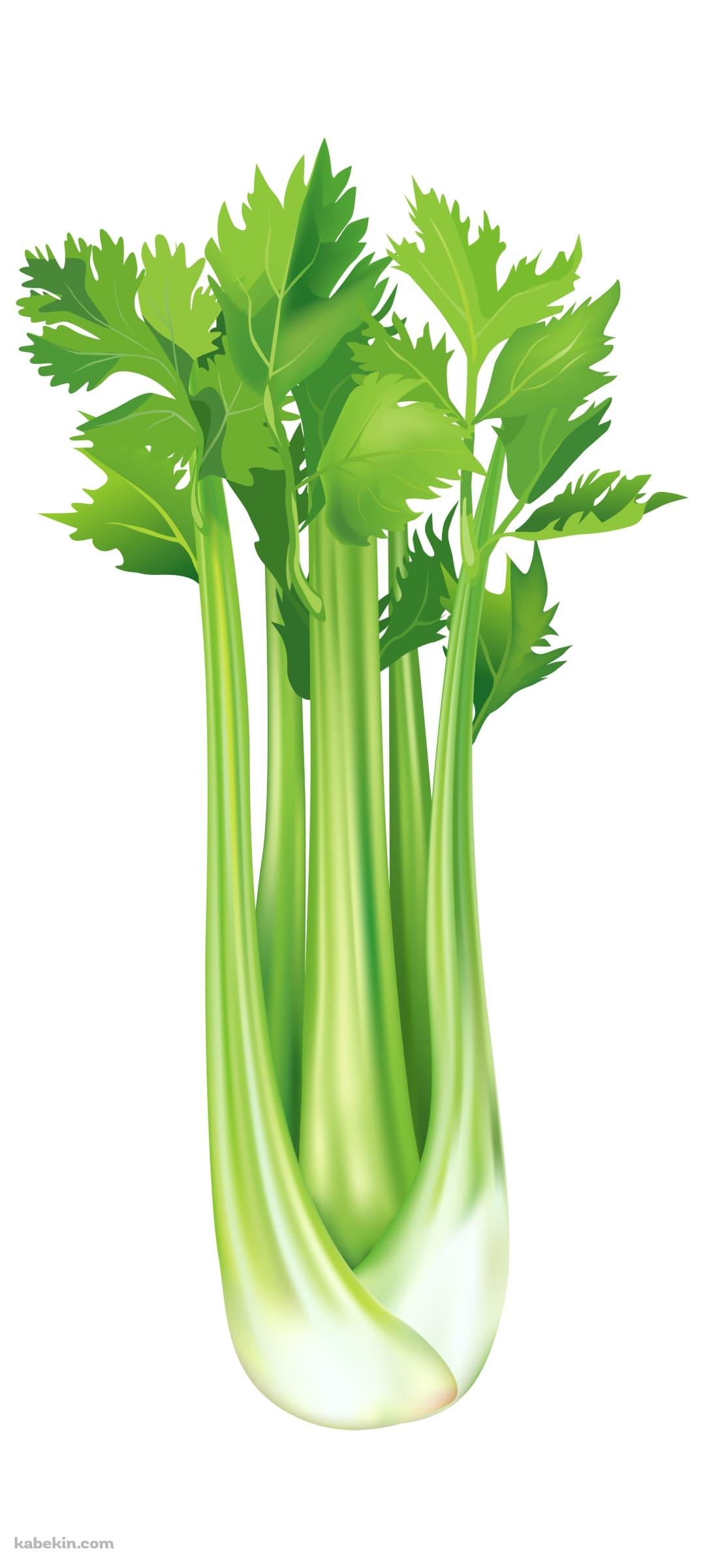 セロリのAndroidの壁紙(1080px x 2400px) スマホ用