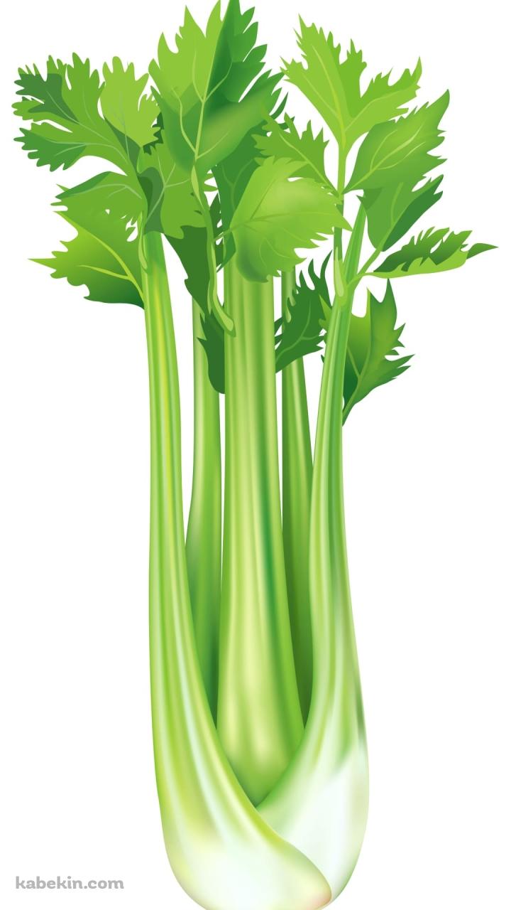 セロリのAndroidの壁紙(720px x 1280px) スマホ用