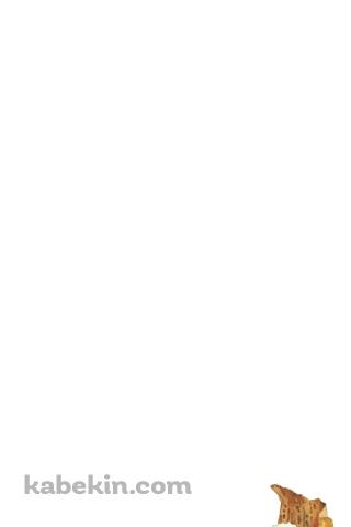おむすび おにぎりのAndroidの壁紙(320px x 480px) スマホ用