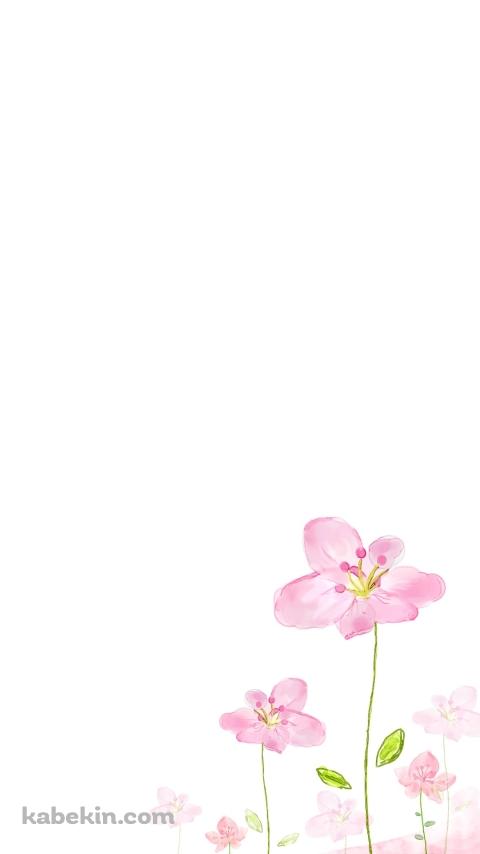 水彩で描かれた綺麗な花のイラストのAndroidの壁紙(480px x 854px) スマホ用