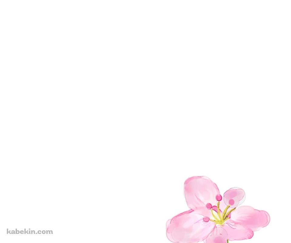 水彩で描かれた綺麗な花のイラストのAndroidの壁紙(960px x 800px) スマホ用