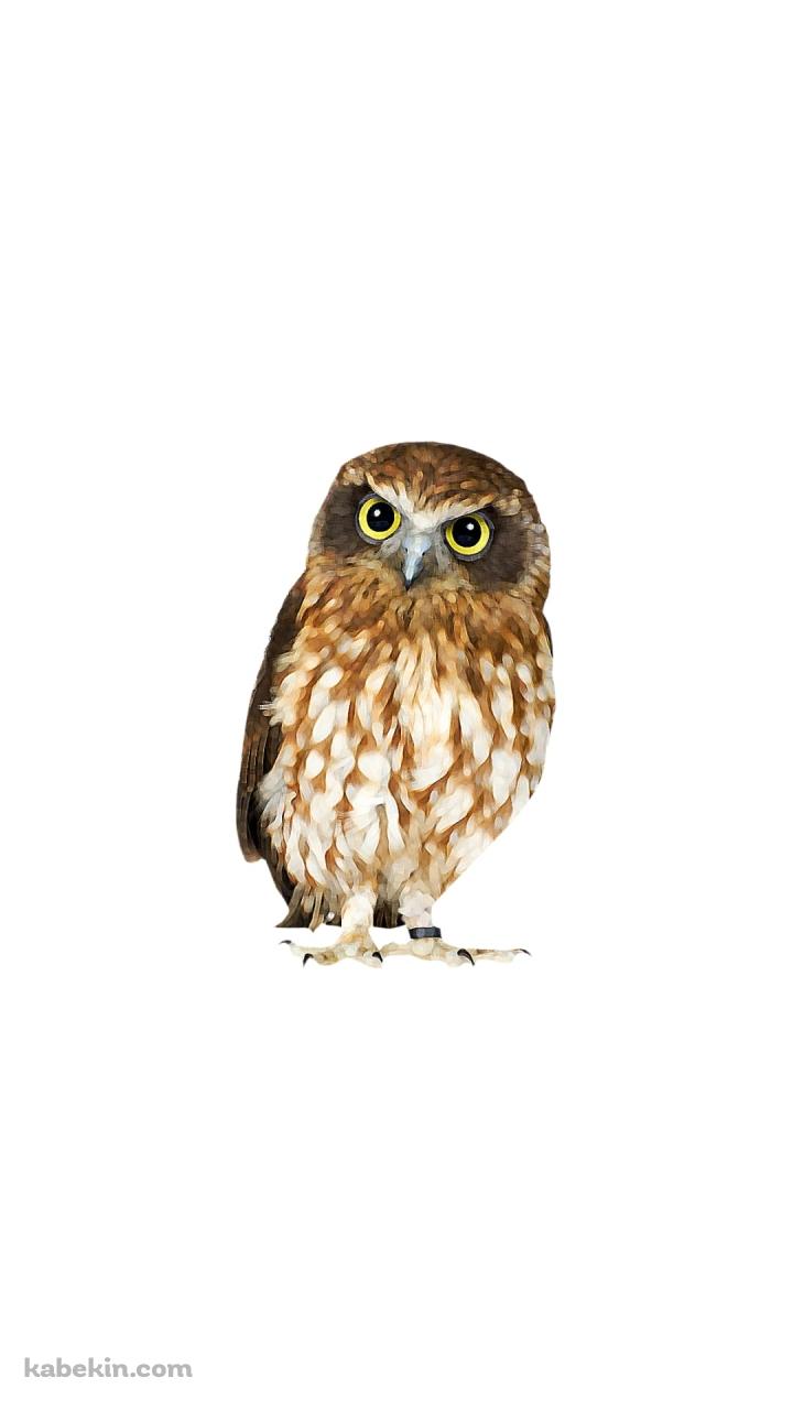フクロウの子供のAndroidの壁紙(720px x 1280px) スマホ用
