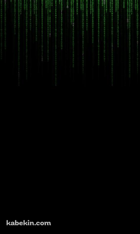 マトリックス MatrixのAndroidの壁紙(480px x 800px) スマホ用