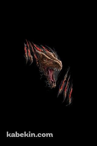飛び出すドラゴンのAndroidの壁紙(320px x 480px) スマホ用