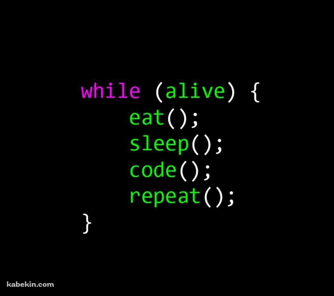 プログラミング プログラマー コードのAndroidの壁紙(1080px x 960px) スマホ用