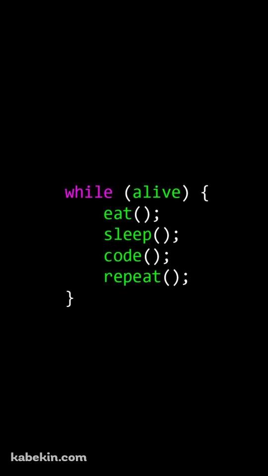 プログラミング プログラマー コードのAndroidの壁紙(540px x 960px) スマホ用