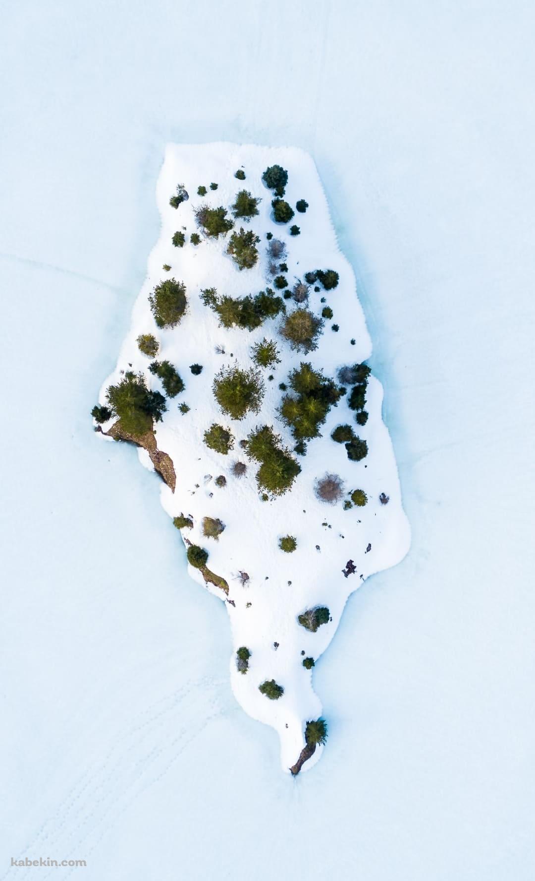 冬のゴールド・クリーク・ポンド アメリカのAndroidの壁紙(1080px x 1776px) スマホ用