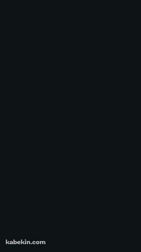 顔を覗かせる黒猫のAndroidの壁紙(540px x 960px) スマホ用