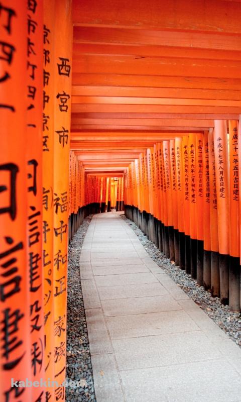 京都 伏見稲荷大社のAndroidの壁紙(480px x 800px) スマホ用