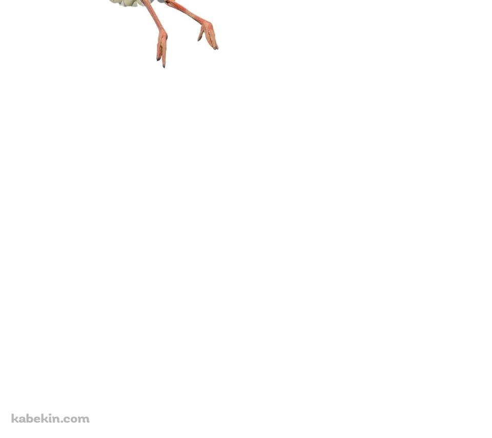 コウノトリのAndroidの壁紙(960px x 854px) スマホ用