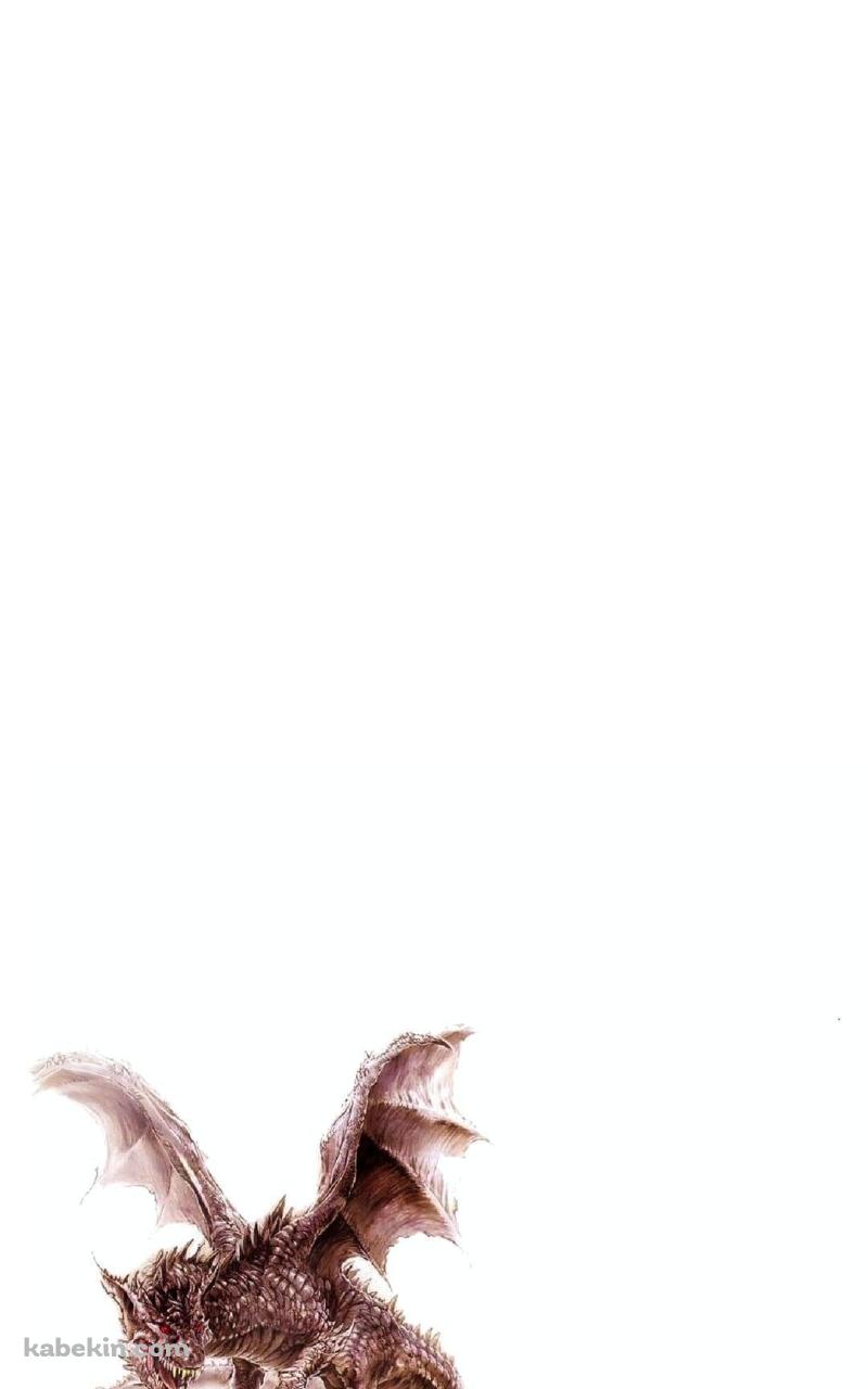 威嚇するドラゴンのAndroidの壁紙(800px x 1280px) スマホ用