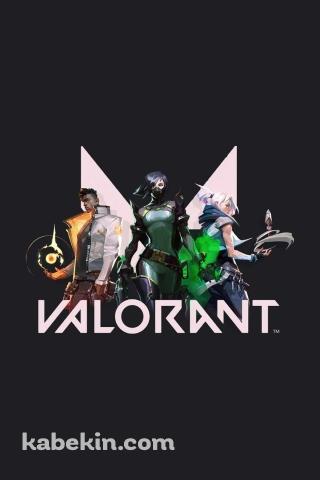 かっこいいヴァロラント グレーのAndroidの壁紙(320px x 480px) スマホ用