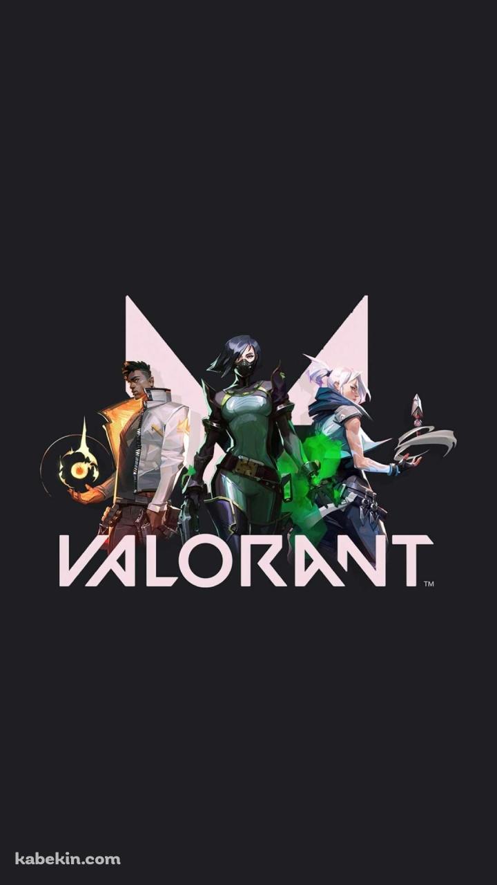 かっこいいヴァロラント グレーのAndroidの壁紙(720px x 1280px) スマホ用