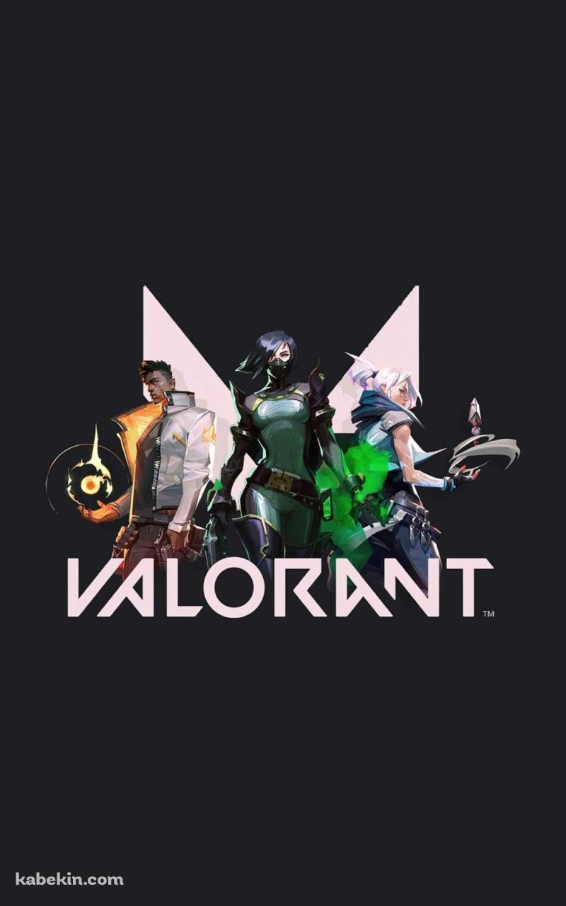 かっこいいヴァロラント グレーのAndroidの壁紙(800px x 1280px) スマホ用