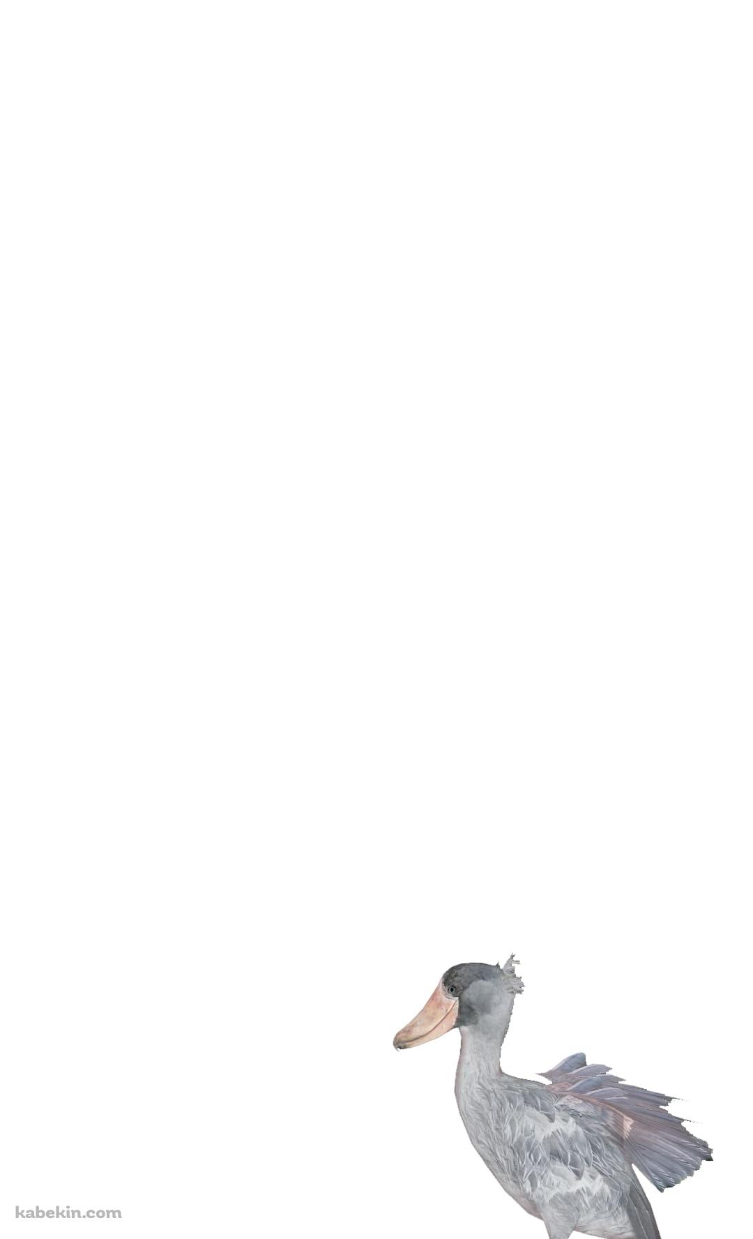 ハシビロコウのAndroidの壁紙(1080px x 1776px) スマホ用