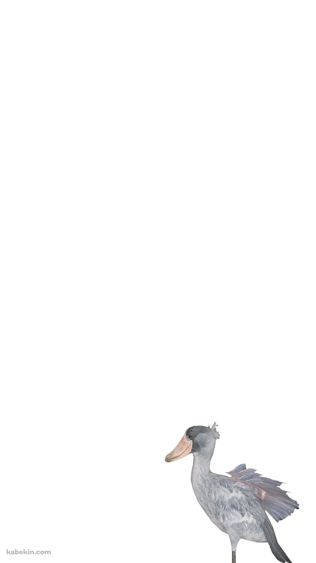 ハシビロコウのAndroidの壁紙(1080px x 1920px) スマホ用