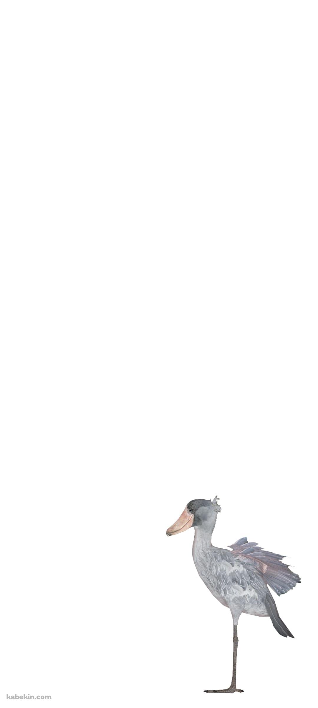 ハシビロコウのAndroidの壁紙(1080px x 2400px) スマホ用