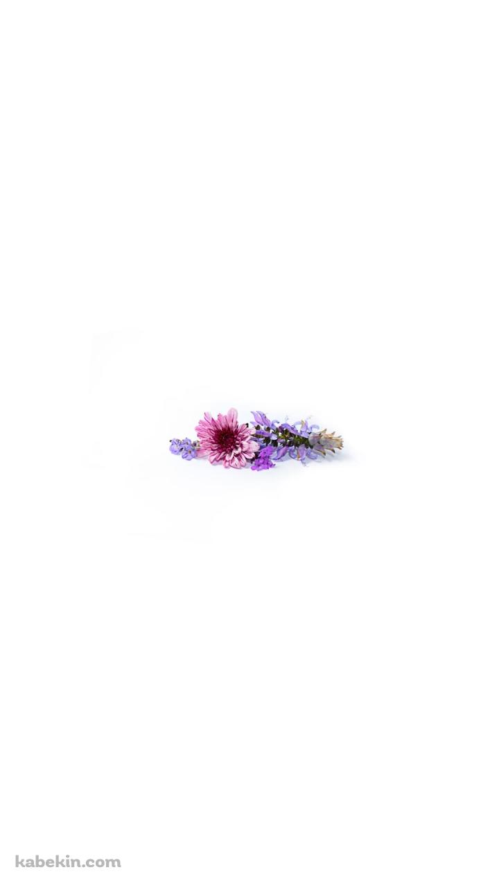 ミニマル 紫・ピンクの花のAndroidの壁紙(720px x 1280px) スマホ用