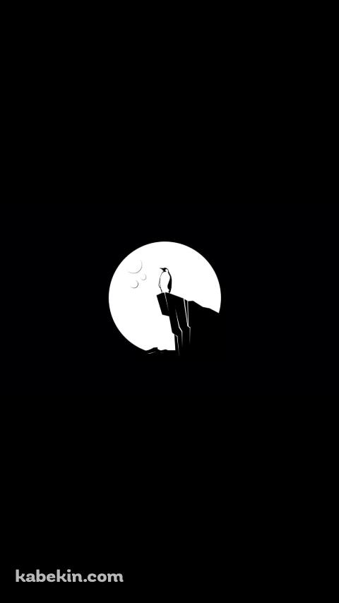 崖の上のペンギンのAndroidの壁紙(480px x 854px) スマホ用