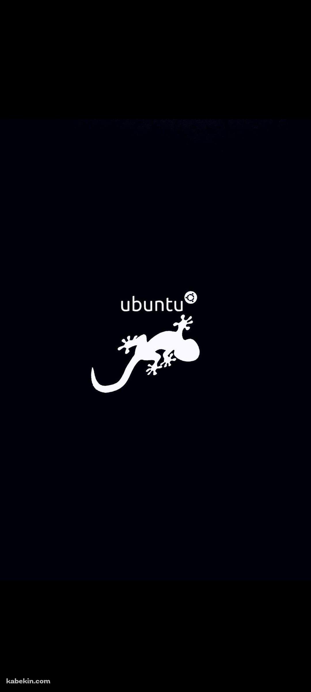 ubuntu トカゲのAndroidの壁紙(1080px x 2400px) スマホ用