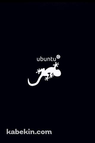 ubuntu トカゲのAndroidの壁紙(320px x 480px) スマホ用
