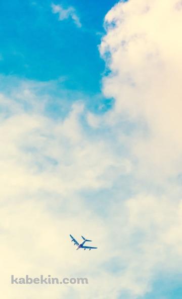 綺麗な夏空と飛行機のAndroidの壁紙(360px x 592px) スマホ用