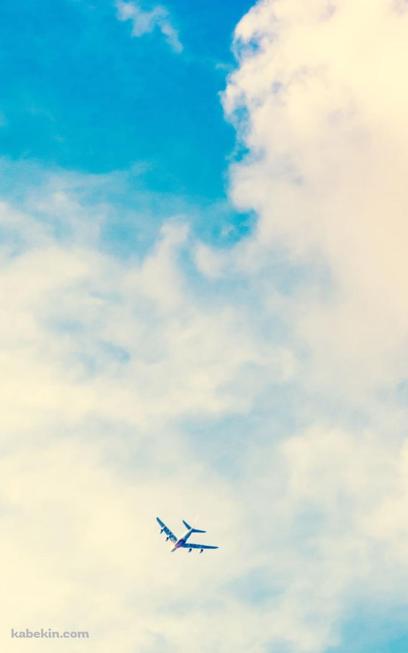 綺麗な夏空と飛行機のAndroidの壁紙(800px x 1280px) スマホ用