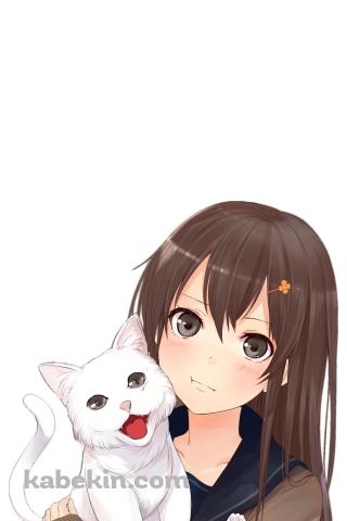 女子高生と白い猫のAndroidの壁紙(320px x 480px) スマホ用