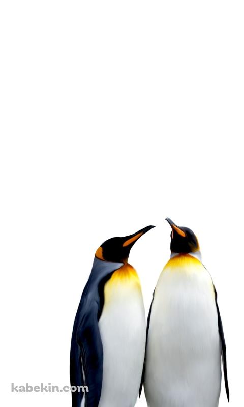 ペンギンの夫婦のAndroidの壁紙(480px x 800px) スマホ用