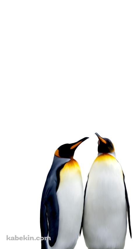 ペンギンの夫婦のAndroidの壁紙(480px x 854px) スマホ用