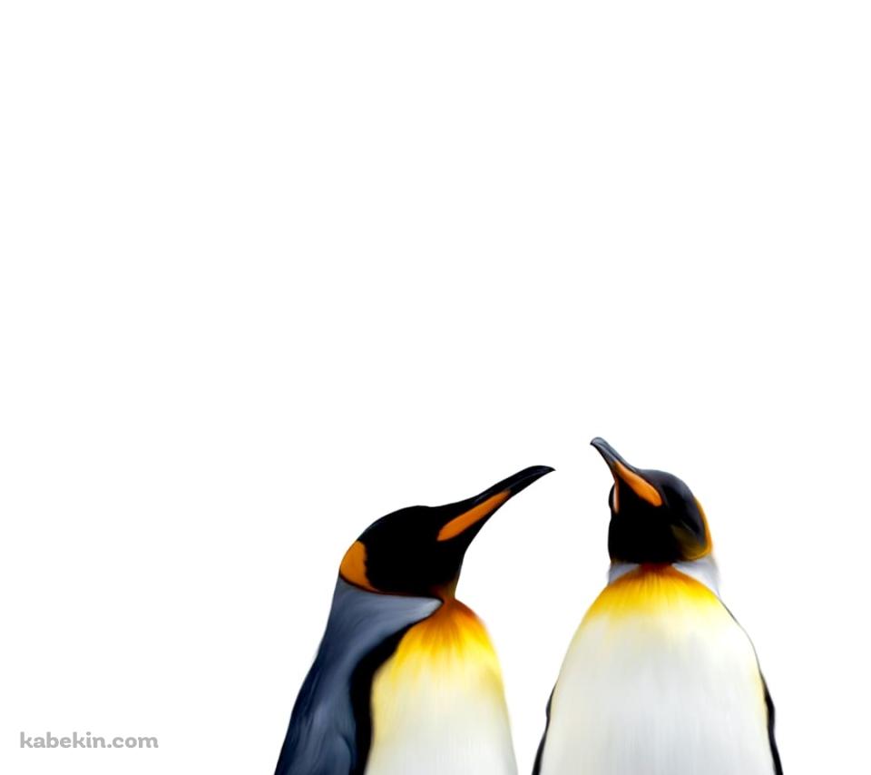 ペンギンの夫婦のAndroidの壁紙(960px x 854px) スマホ用