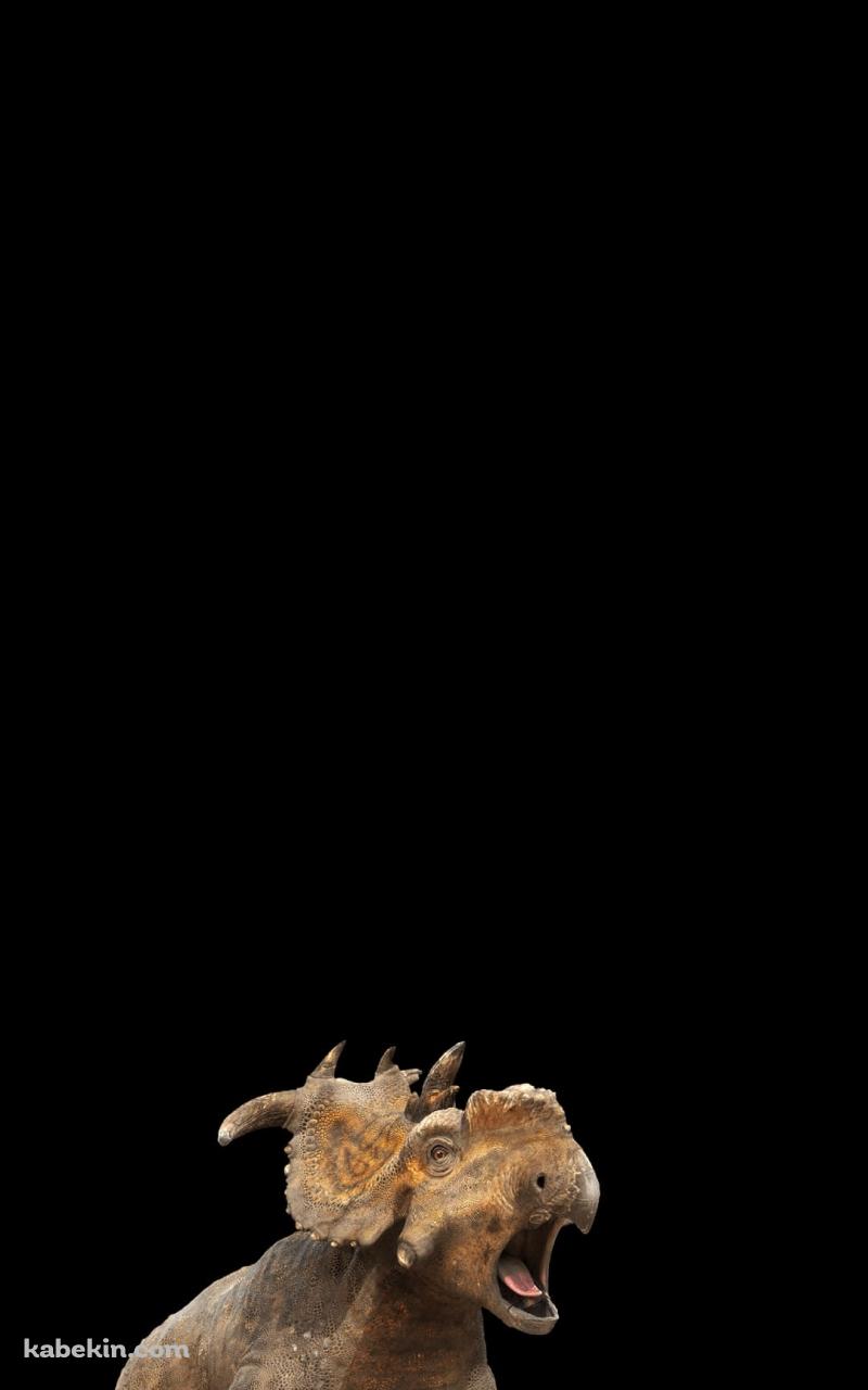 トリケラトプスのAndroidの壁紙(800px x 1280px) スマホ用