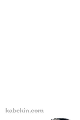 きつねうどんのAndroidの壁紙(320px x 480px) スマホ用