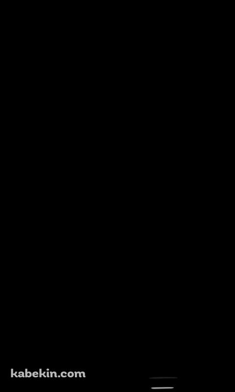 黒のBMWのAndroidの壁紙(480px x 800px) スマホ用