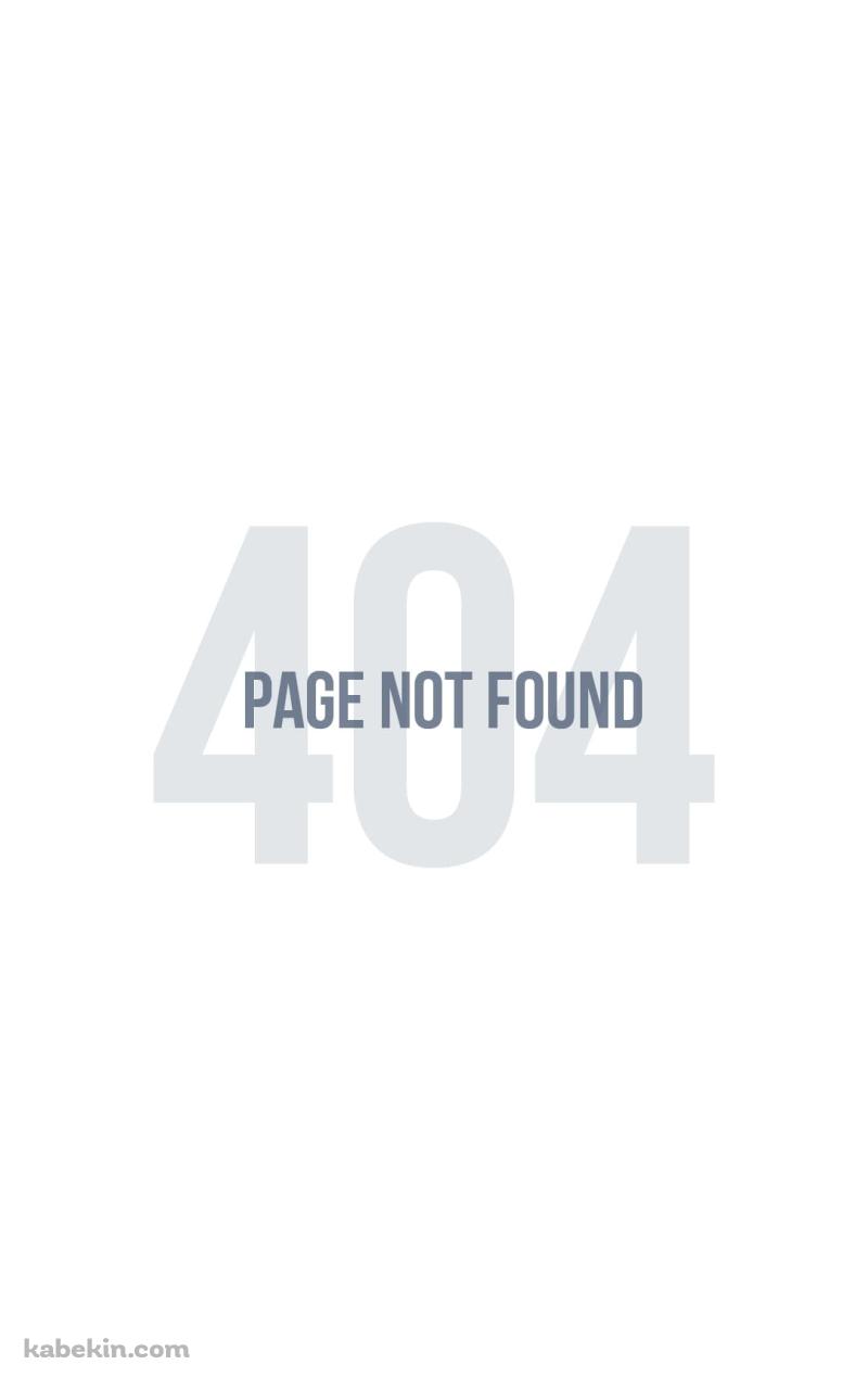 404 not foundのAndroidの壁紙(800px x 1280px) スマホ用