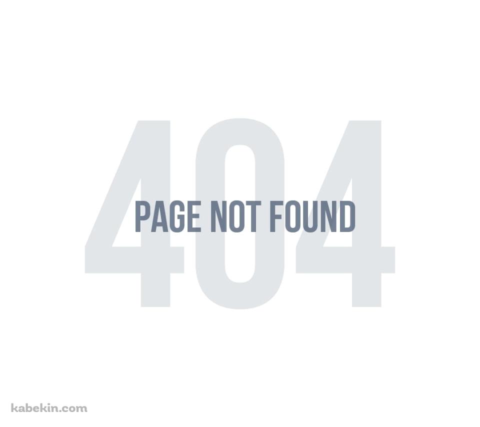 404 not foundのAndroidの壁紙(960px x 854px) スマホ用